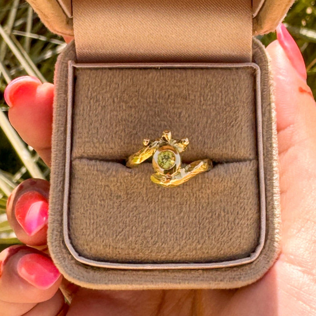 The Shams Ring