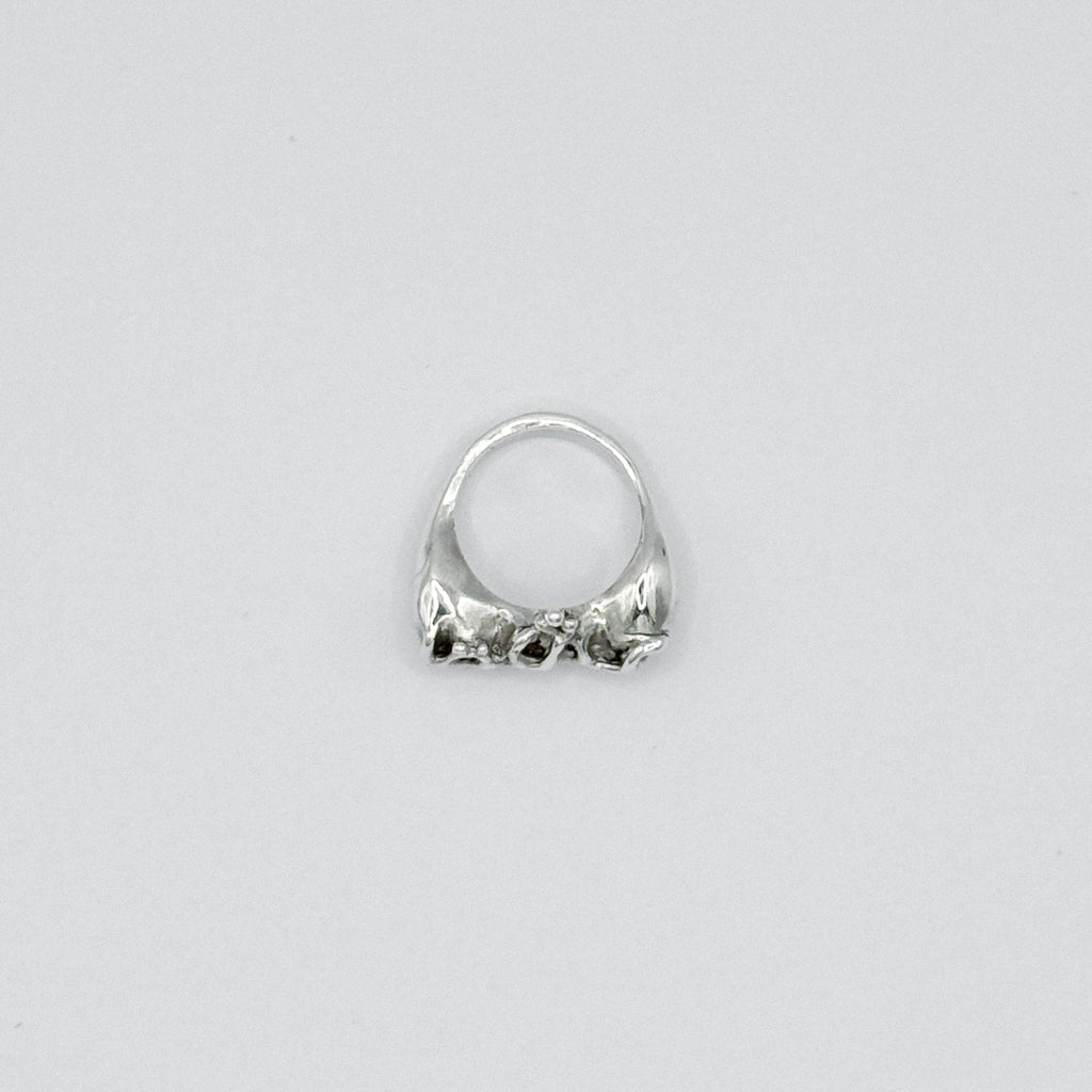 Ishq Ring
